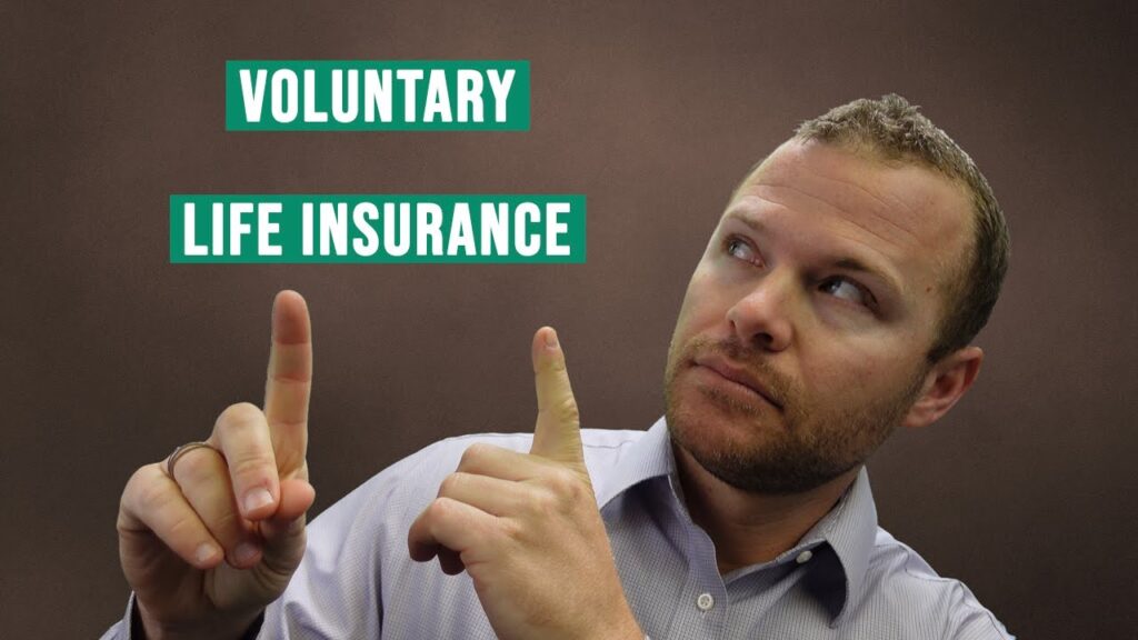 What is voluntary life insurance